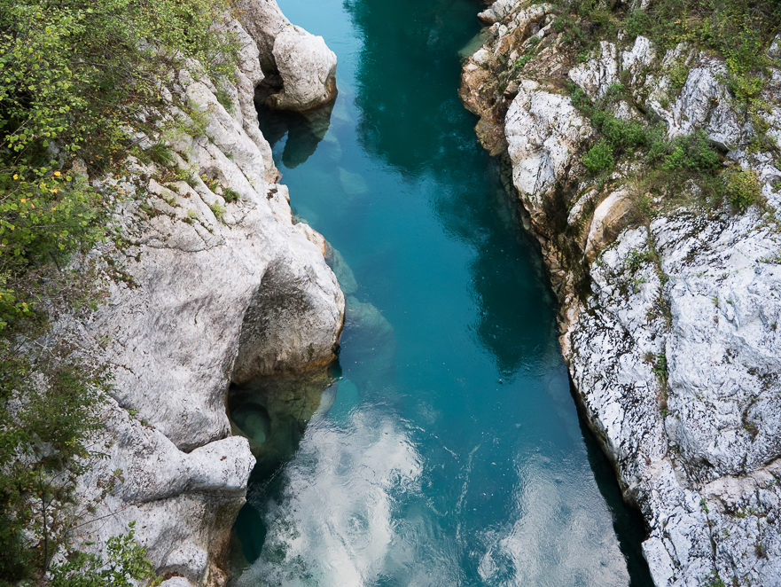 Nadelwald auf der Nordseite des Kammes
